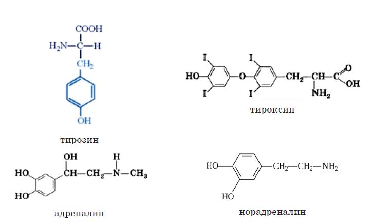 Тирозин формула. Тирозин структурная формула. Тирозин строение. Тирозин структурная. Тирозин формула структурная формула.