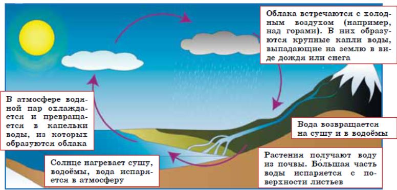 Круговорот воды в природе проект
