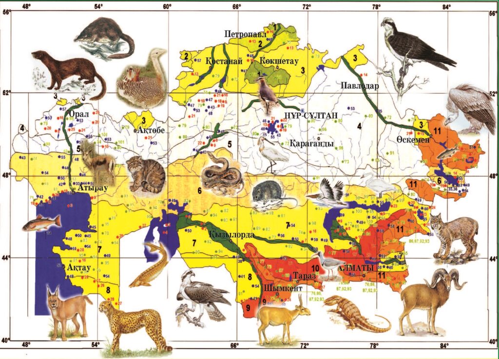 Карта россии с обитанием животных
